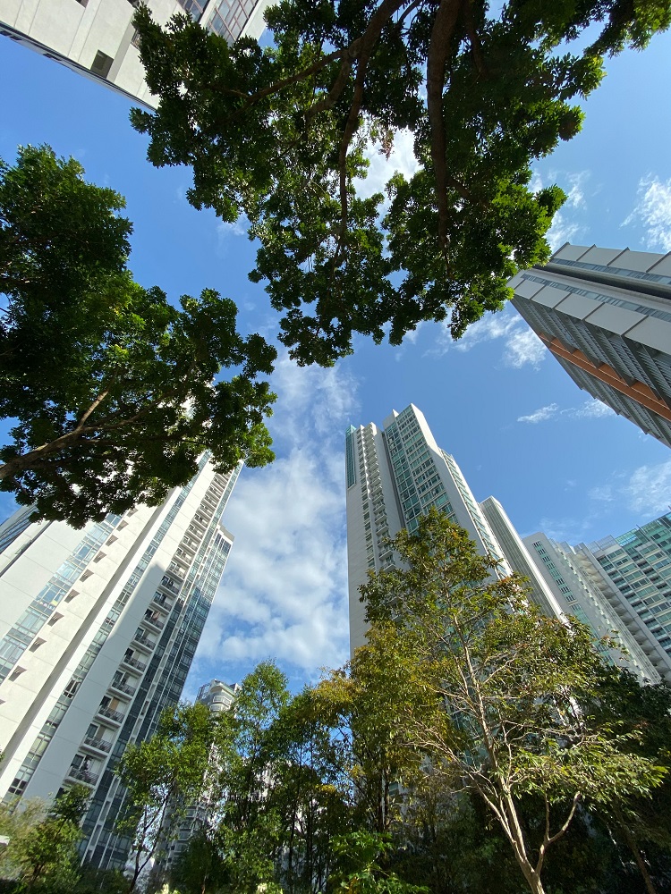 Investimento sustentável: entenda a importâncias destas práticas